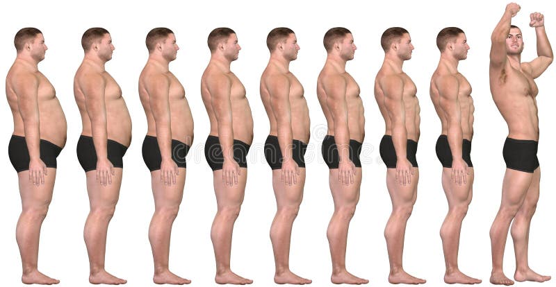 Grasa a ajustar antes después de éxito de la pérdida de peso del hombre 3D