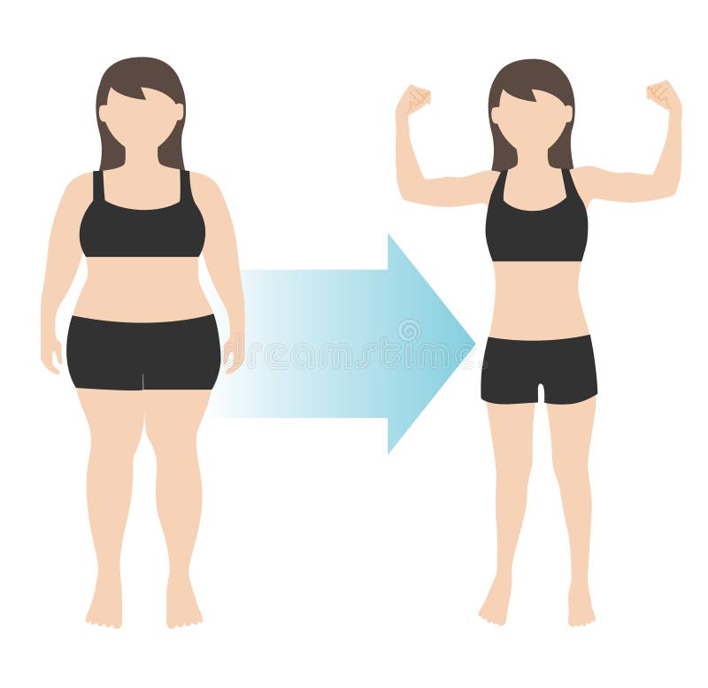 Vector illustration of weight loss woman body transformation fat to fit. Vector illustration of weight loss woman body transformation fat to fit