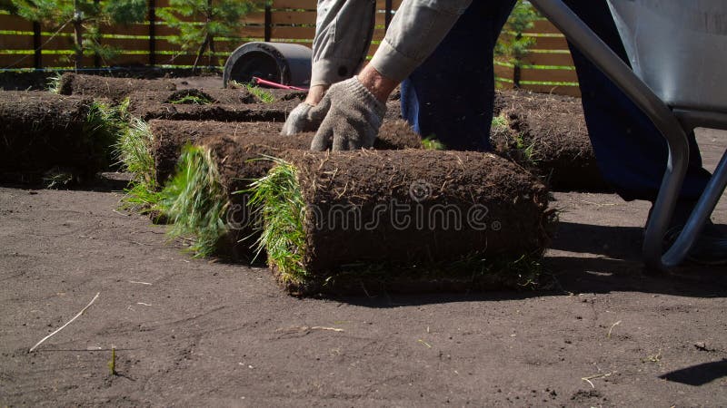 Grasentladerollen. Konzept der Garten- und Gartenlandschaft. Rasenrollen liegen auf dem Boden und sind fertig zu legen