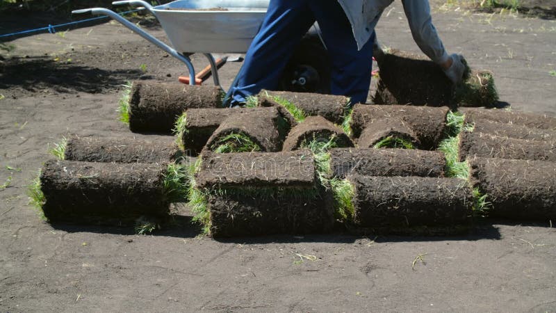 Grasentladerollen. Konzept der Garten- und Gartenlandschaft. Rasenrollen liegen auf dem Boden und sind fertig zu legen