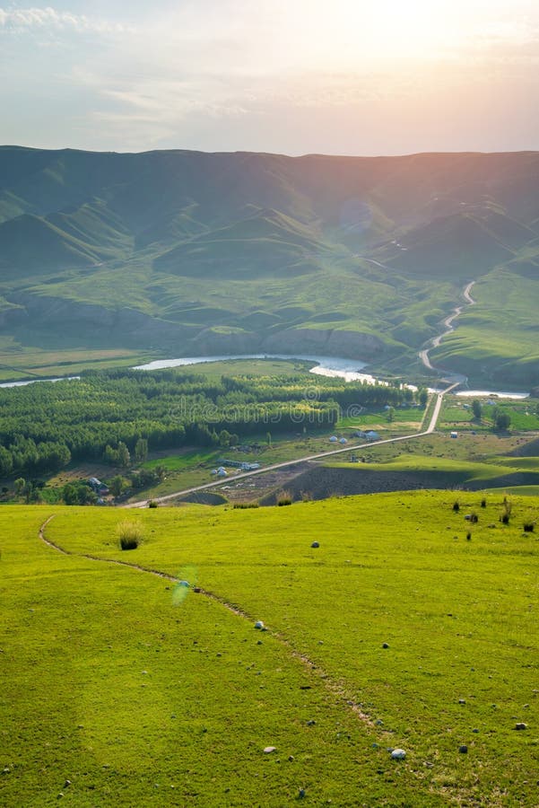 Grasland- und Talwald bei Sonnenlicht mit kurvenreicher Straße lizenzfreies stockfoto Grasland- und Talwald bei Sonnenlicht mit kurvenreicher Straße lizenzfreies stockfoto