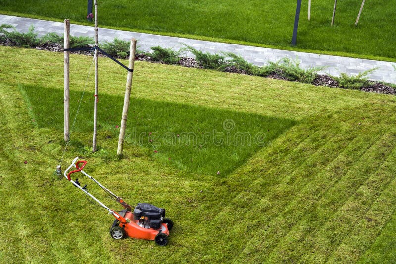 Grasmaaimachine scherp gras op groen gebied in werf Maaiend het werkhulpmiddel van de tuinmanzorg stock afbeeldingen Grasmaaimachine scherp gras op groen gebied in werf Maaiend het werkhulpmiddel van de tuinmanzorg stock afbeeldingen