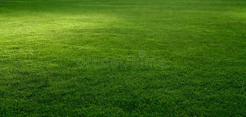 7,888,388 Grass Stock Photos - Free & Royalty-Free Stock Photos from  Dreamstime