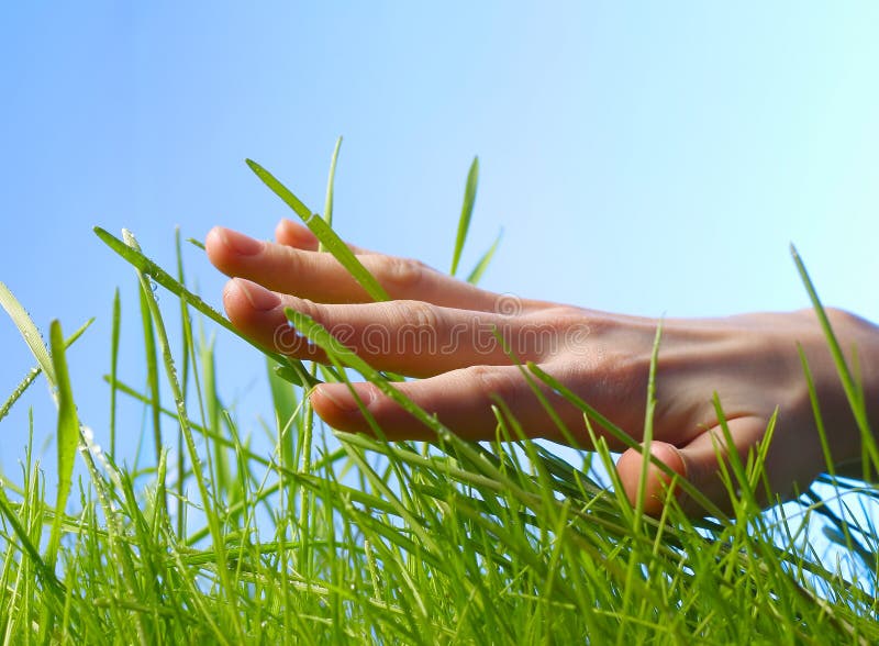 Hand touching grass hi-res stock photography and images - Alamy