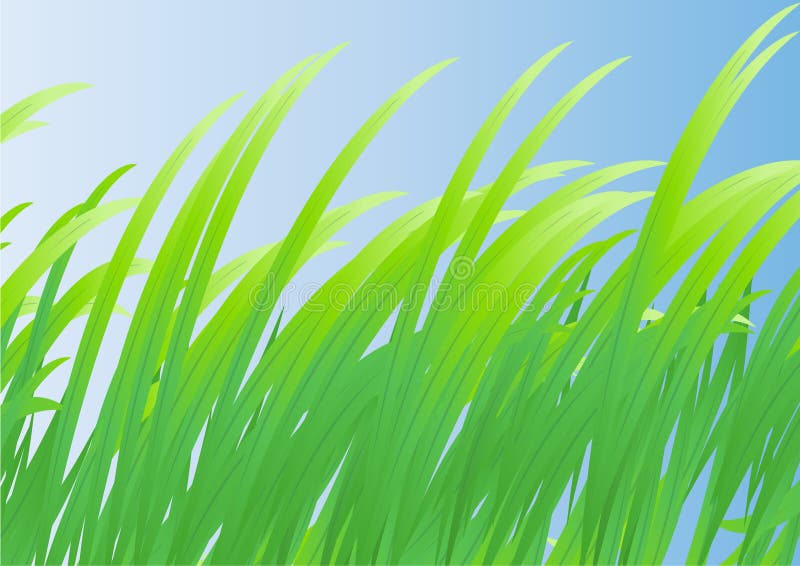 Grass stock illustration