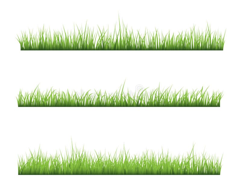 Gras isoliert auf weißem hintergrund, Vektor illustrationen.