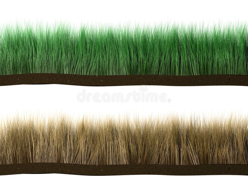 Dry Grass Stock Illustrations 18,619 Dry Grass Stock Illustrations