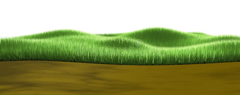 Grass