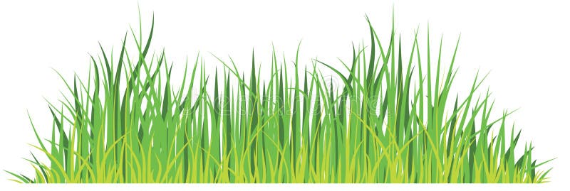 Grass background