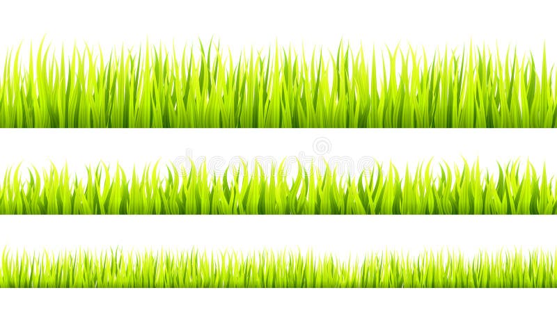 Grass banner. Cereal sprouts.