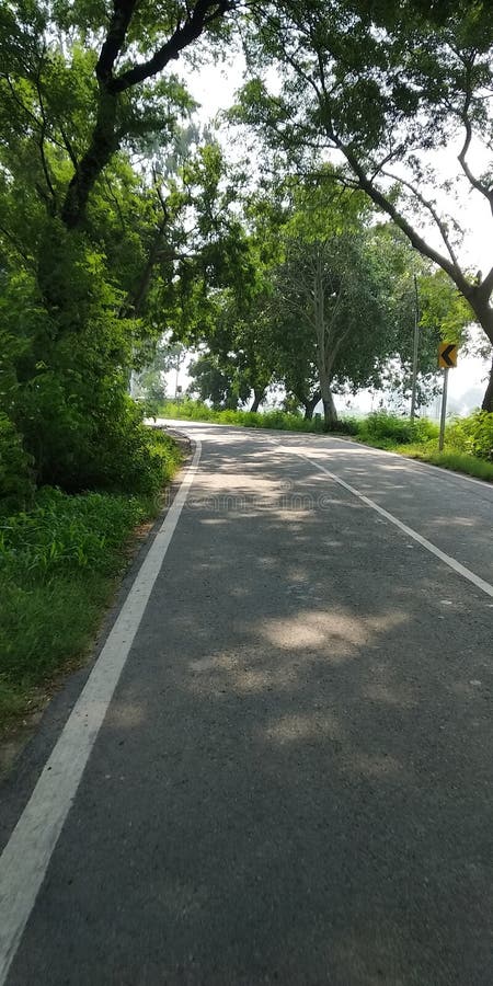 Grass on a Withe Background Tree and Road Stock Photo - Image of wallpaper,  agriculture: 154937398