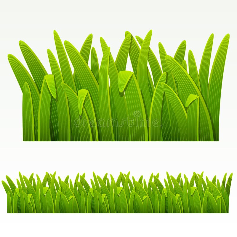 Grass border