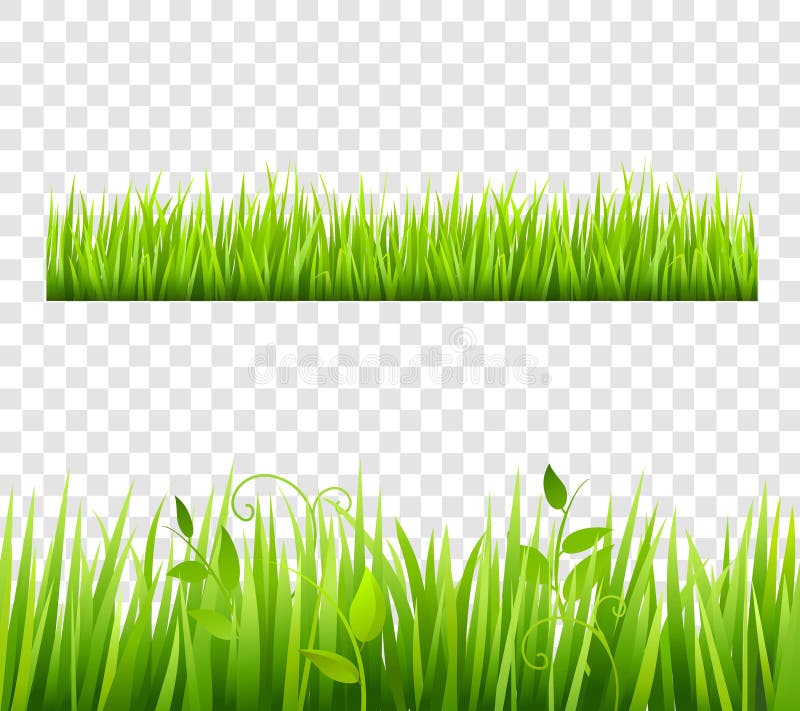 Grass Border Tileable Transparent