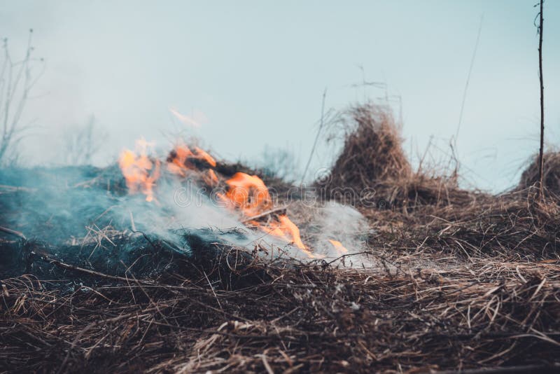 The Grass is Burning, the Fire of Which Destroys Everything in Its Path