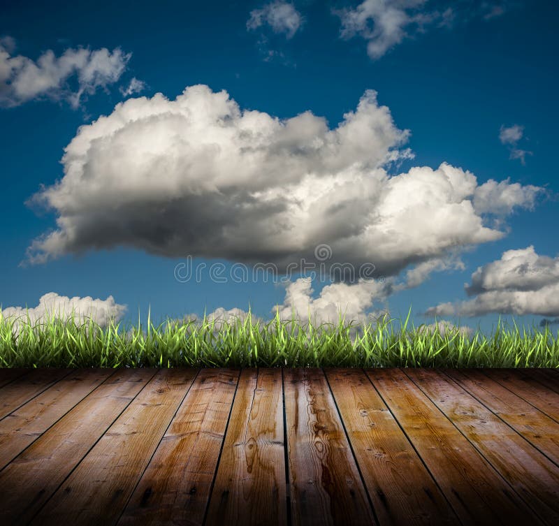 Grass and clouds stock photo. Image of countryside, beautiful - 27502344