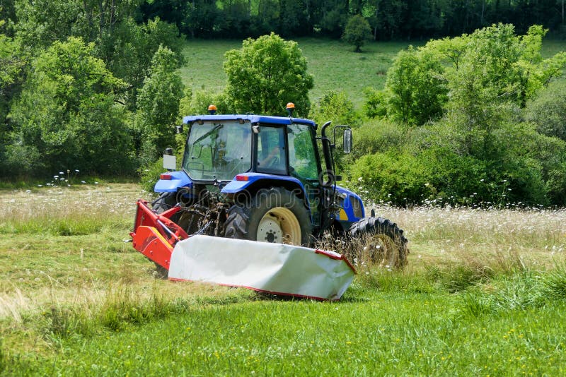 Grass Cutting stock photo. Image of land, grassland 239608982
