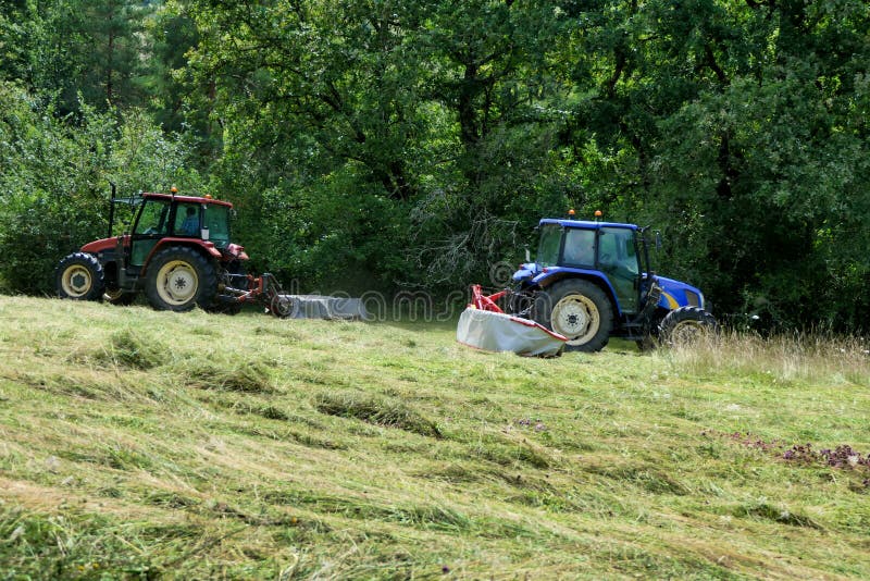 Grass Cutting stock image. Image of grassland, growth 239607521
