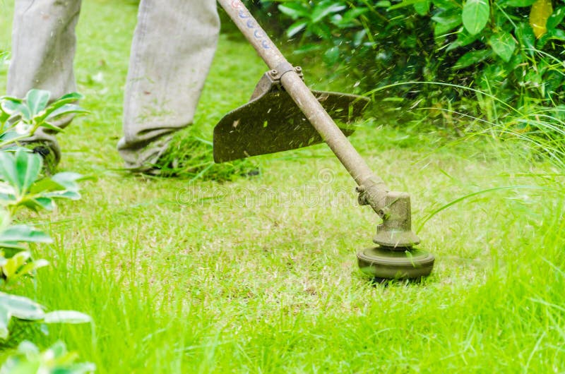 Mowing the Grass stock photo. Image of hedgerow, color 22314620