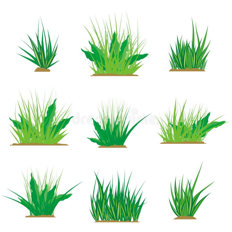 Grass Design Elements stock illustration. Illustration of green - 12150956