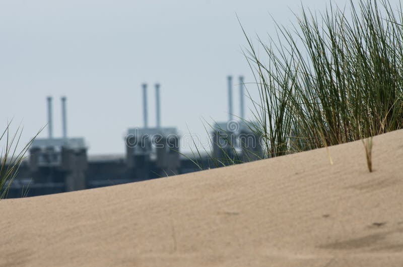 Grass on a dune near Delta Works stock photo Grass on a dune near Delta Works stock photo