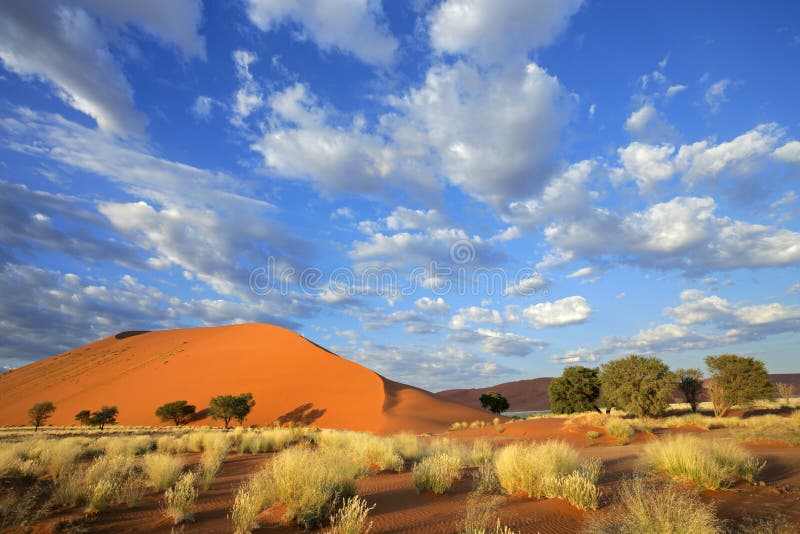 Grass, dune and sky, Nambia