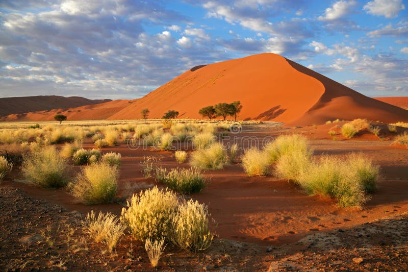 Paesaggio deserto, erba, grande duna di sabbia e il cielo con le nuvole, Sossusvlei, Namibia, sud Africa.