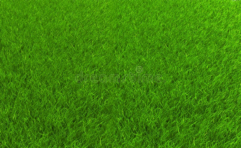 Grass field