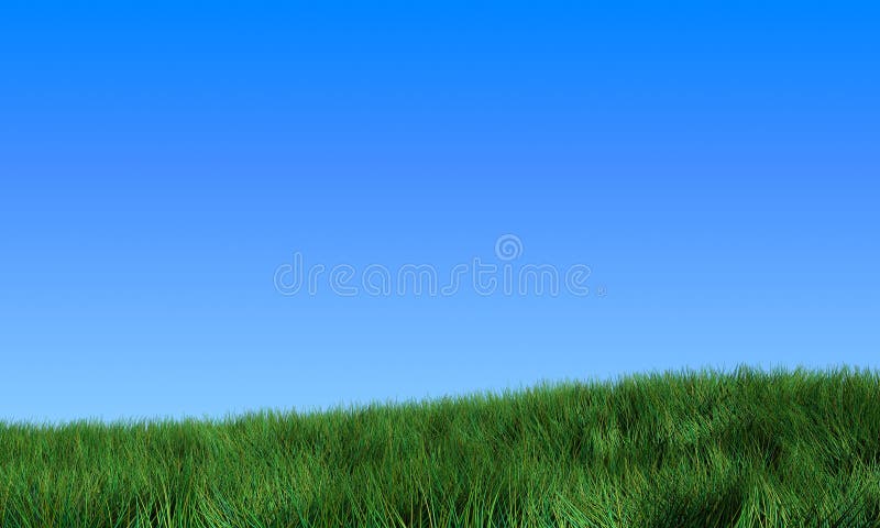 Grass field