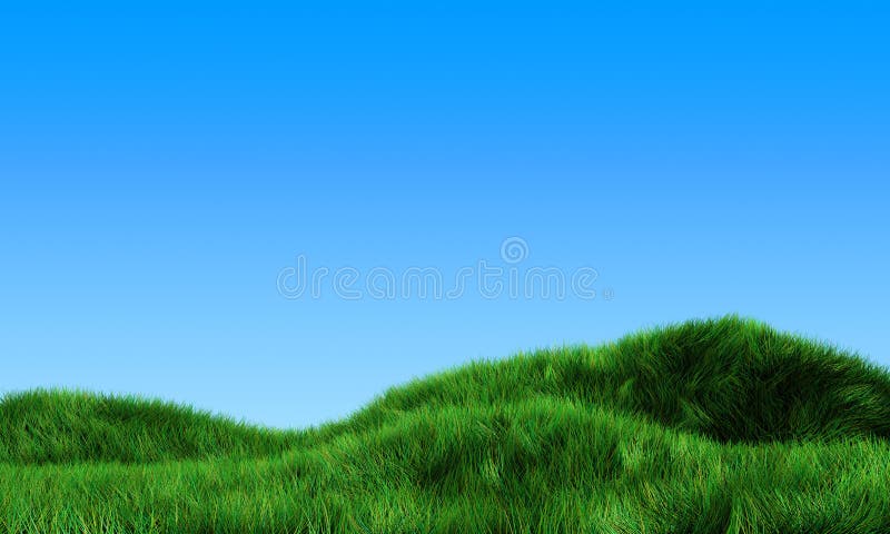 Grass field