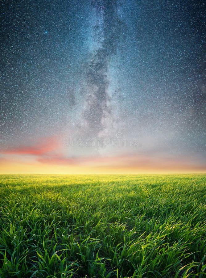 Grass on the field and night sky royalty free stock photo Grass on the field and night sky royalty free stock photo