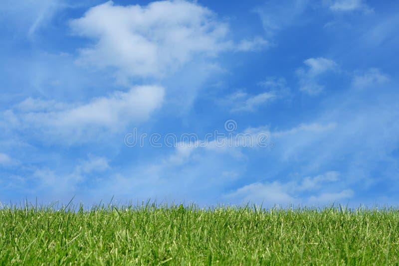 Grass field over blue sky