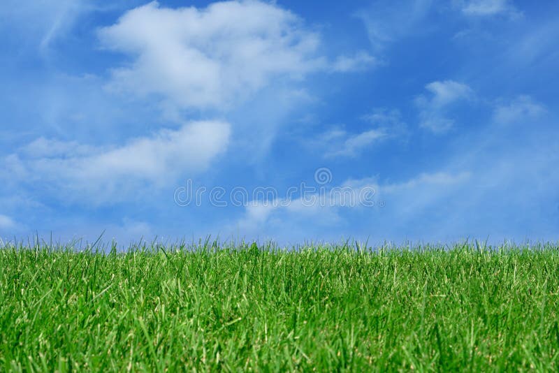 Grass field over blue sky