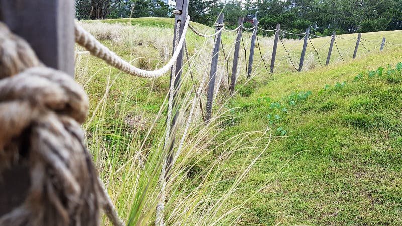 Grass Field with Rope Fencing Stock Photo - Image of rural, park: 225849352