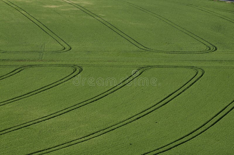 Grass Field stock photography