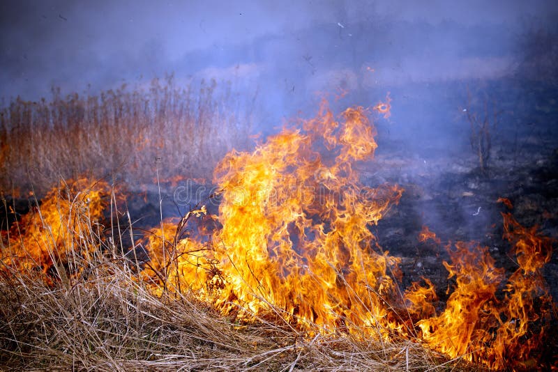 Grass fire