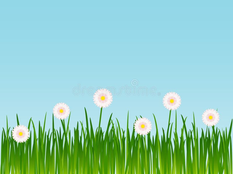 Grass with flowers