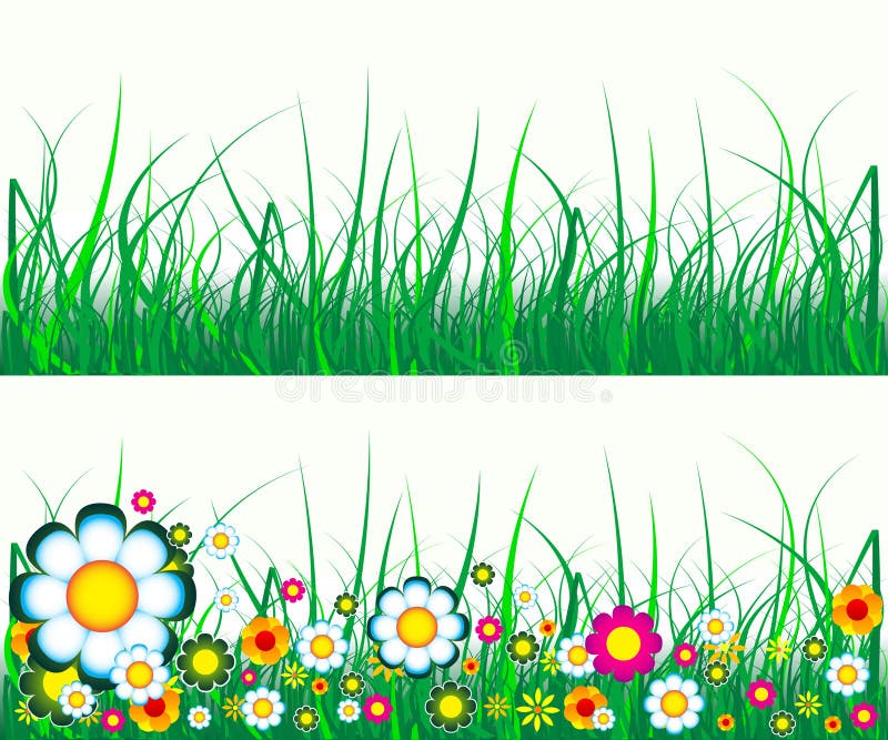 Grass and flowers