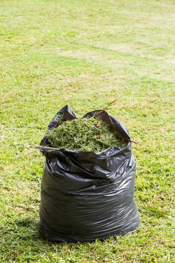 https://thumbs.dreamstime.com/b/grass-garbage-bag-green-black-color-lawn-32810575.jpg