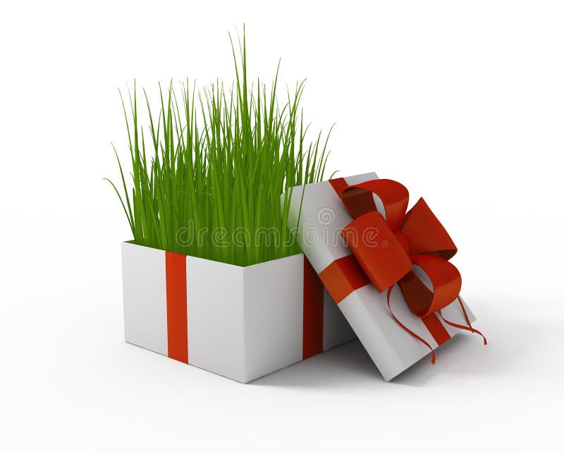 Grass in a gift box