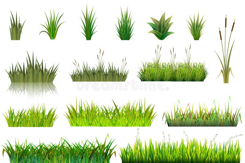 Grass grassland or grassplot and green grassy field illustration gardening set floral plants in garden isolated on white