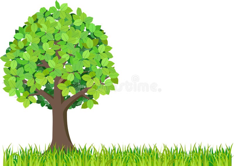 Grass and green tree isolated on white background