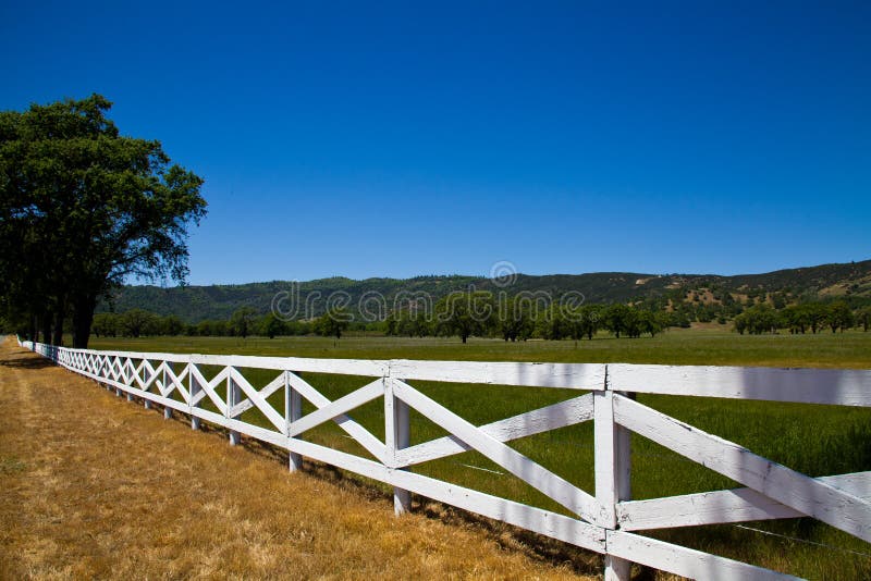 The Grass Is Always Greener On The Other Side of the Fence