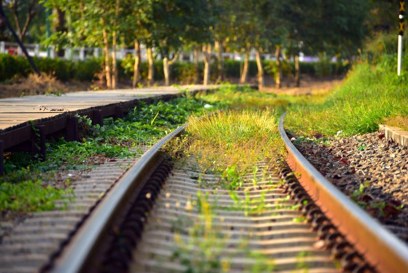 Grass grow alongside railroad while have no trains in evening li