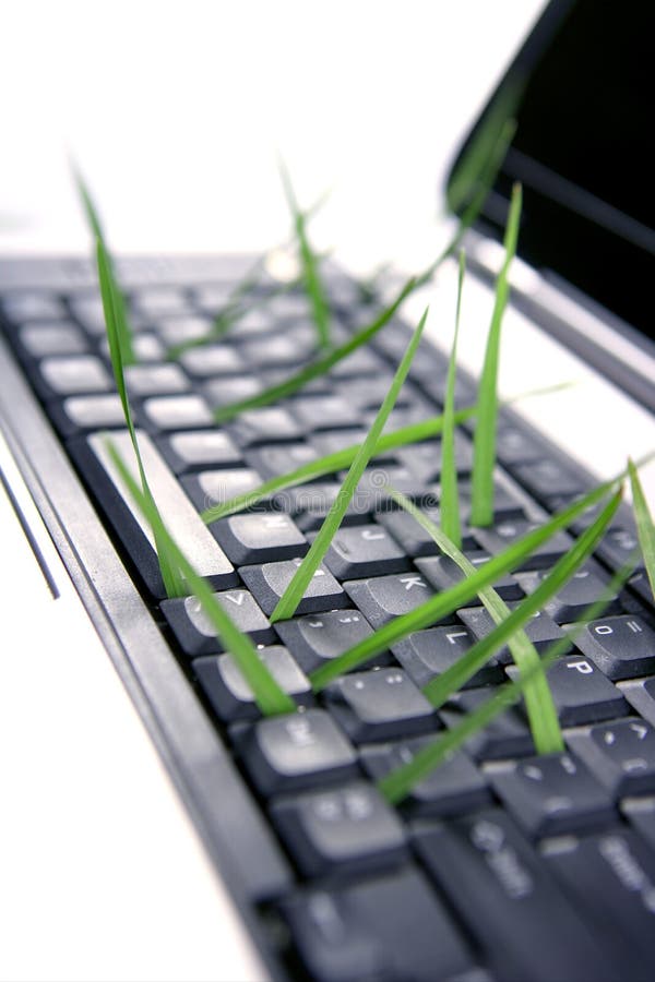 grass keyboard metaphor computer growing royalty
