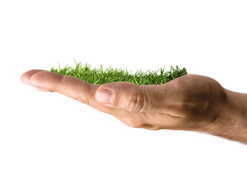 Hand Touching Grass Stock Video Footage for Free Download