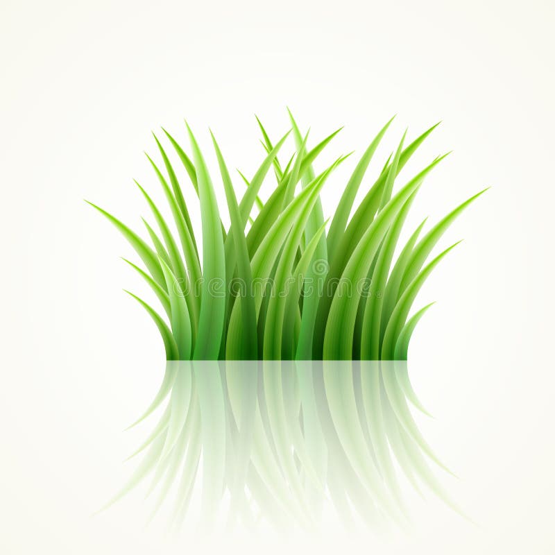 Grass stock vector. Illustration of floral, element, beauty - 33528600