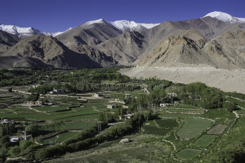 Grass Land Of Ladakh, India Stock Photo Image 26238906