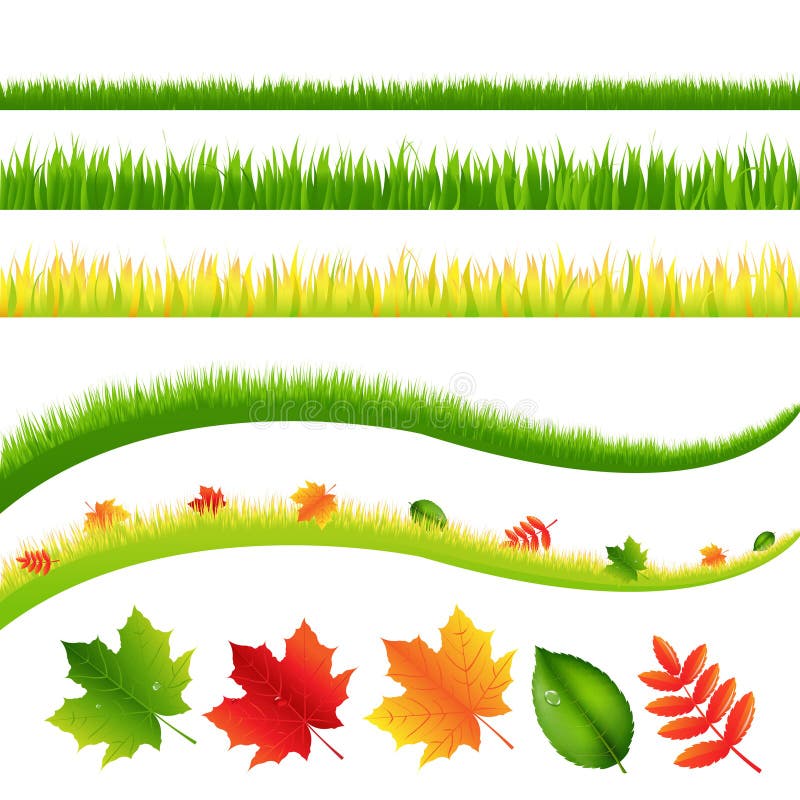 Grass And Leaves. Vector