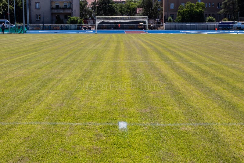 Grass with Lines on a Soccer Field Stock Image Image of artificial