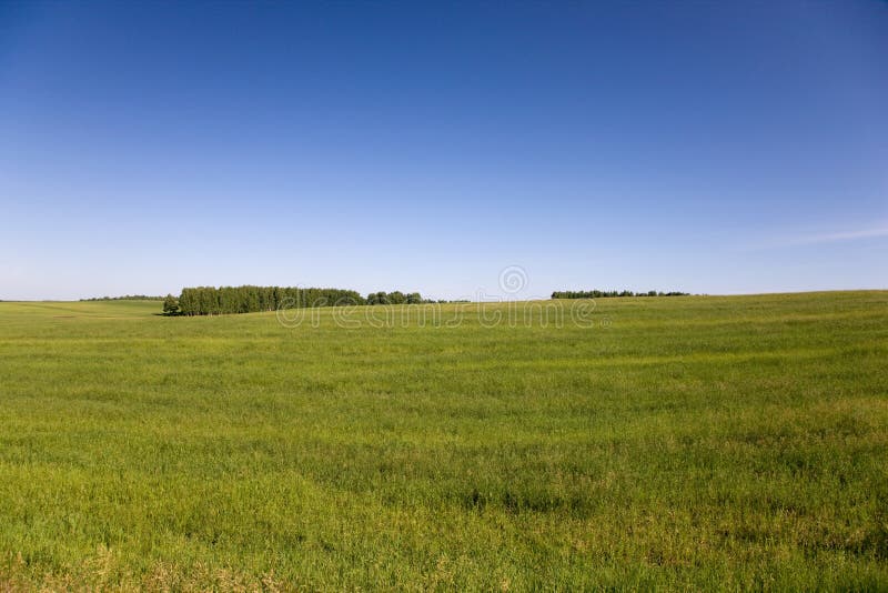 Hill stock image. Image of field, blue, freshness, cloudscape - 13264359